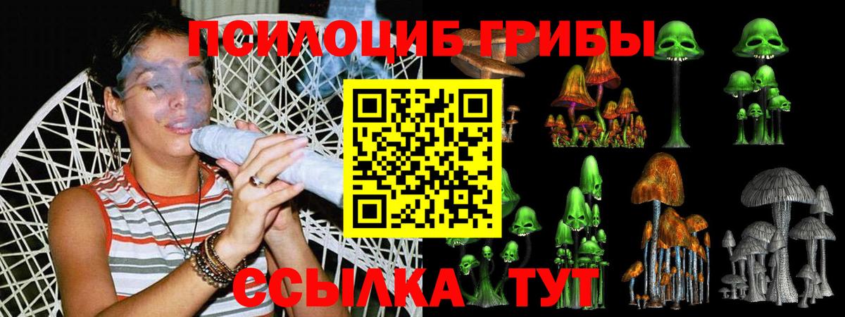 Галлюциногенные грибы MAGIC MUSHROOMS  Вход с VPN  Можайск 